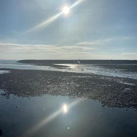 Centre-ville Au Calme Grand T2 Avec Terrasse