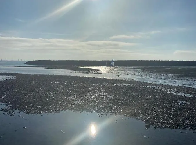 Centre-ville Au Calme Grand T2 Avec Terrasse